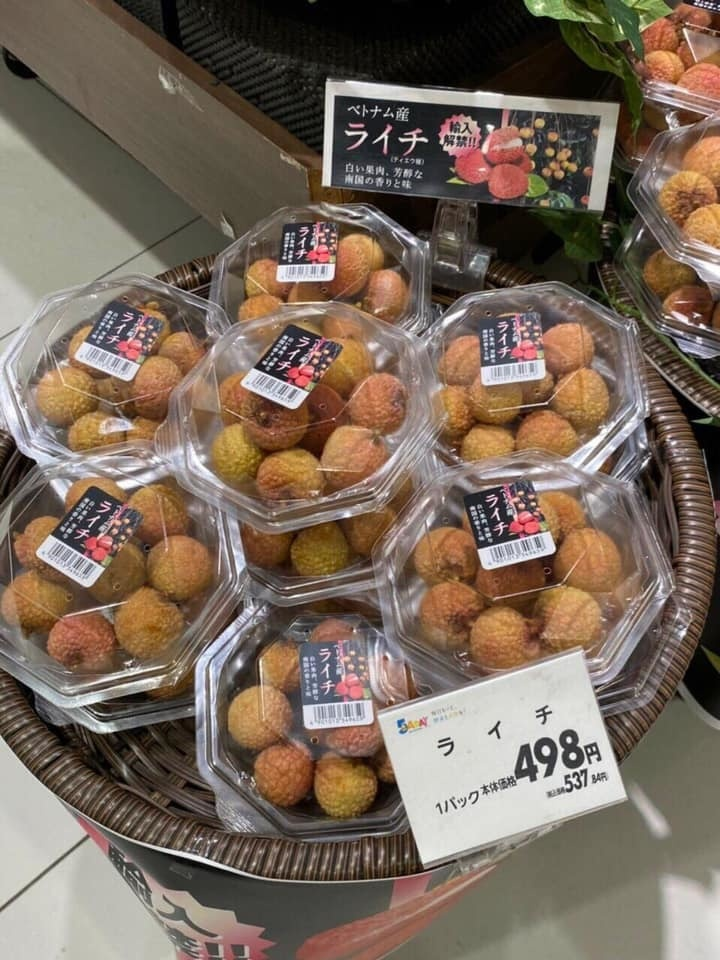 Vietnam’s fresh lychees sold in Japan’s Kagoshima